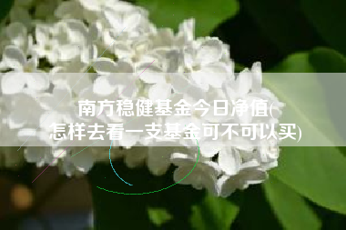 南方稳健基金今日净值(
怎样去看一支基金可不可以买)
