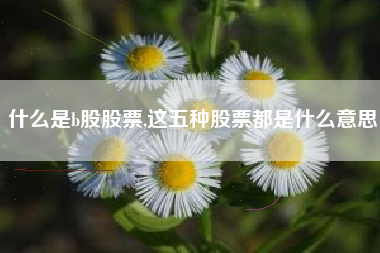 什么是b股股票,这五种股票都是什么意思