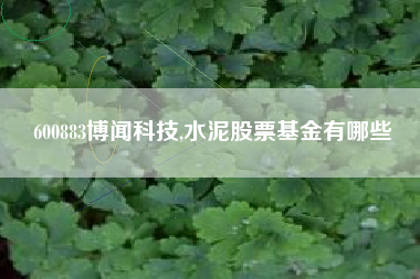 600883博闻科技,水泥股票基金有哪些