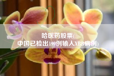 哈医药股票(
中国已检出199例输入XBB病例)