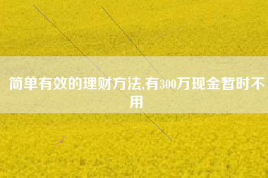 简单有效的理财方法,有300万现金暂时不用