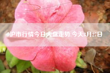 沪市行情今日大盘走势,今天8月27日