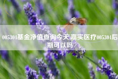 005304基金净值查询今天,嘉实医疗005304后期可以吗