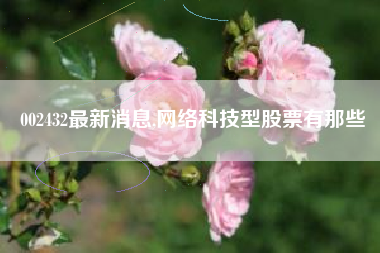 002432最新消息,网络科技型股票有那些