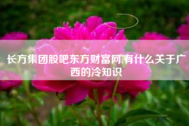 长方集团股吧东方财富网,有什么关于广西的冷知识