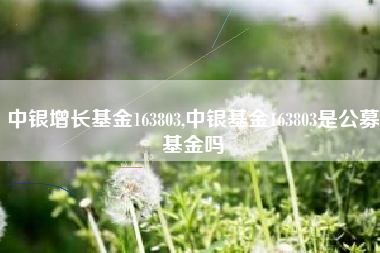 中银增长基金163803,中银基金163803是公募基金吗