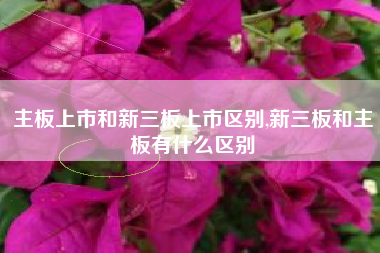 主板上市和新三板上市区别,新三板和主板有什么区别