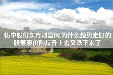 柘中股份东方财富网,为什么趋势走好的股票股价刚拉升上去又跌下来了