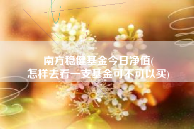 南方稳健基金今日净值(
怎样去看一支基金可不可以买)