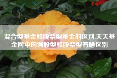 详细阅读:混合型基金和股票型基金的区别,天天基金网中的偏股型和股票型有啥区别 混合型基金和股票型基金的区别,天天基金网中的偏股型和股票型有啥区别