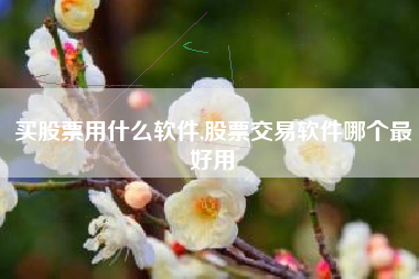 买股票用什么软件,股票交易软件哪个最好用