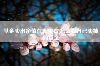 基金卖出净值在哪里看,怎么看自己卖掉的基金