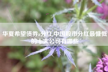 华夏希望债券a分红,中国股市分红最慷慨的十大公司有哪些