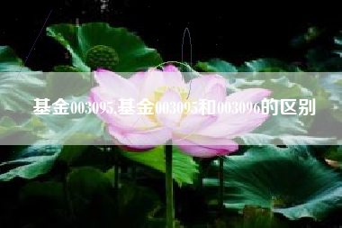 基金003095,基金003095和003096的区别