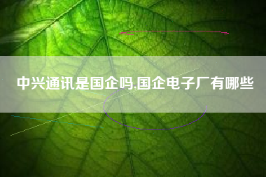 中兴通讯是国企吗,国企电子厂有哪些