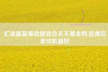 汇添富蓝筹稳健混合天天基金网,选哪位老司机最好