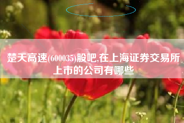 楚天高速(600035)股吧,在上海证券交易所上市的公司有哪些