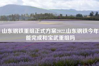 山东钢铁重组正式方案2022,山东钢铁今年能完成和宝武重组吗