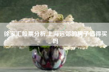 详细阅读:徐家汇股票分析,上海远郊的房子值得买吗 徐家汇股票分析,上海远郊的房子值得买吗