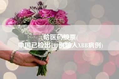 哈医药股票(
中国已检出199例输入XBB病例)