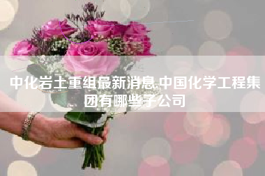 详细阅读:中化岩土重组最新消息,中国化学工程集团有哪些子公司 中化岩土重组最新消息,中国化学工程集团有哪些子公司
