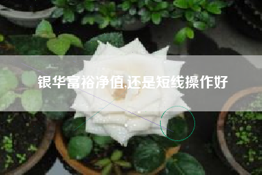 详细阅读:银华富裕净值,还是短线操作好 银华富裕净值,还是短线操作好