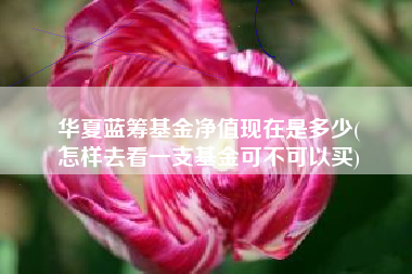 华夏蓝筹基金净值现在是多少(
怎样去看一支基金可不可以买)