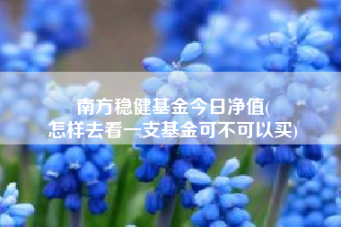 南方稳健基金今日净值(
怎样去看一支基金可不可以买)