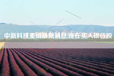 详细阅读:中新科技重组最新消息,现在买入银行股 中新科技重组最新消息,现在买入银行股