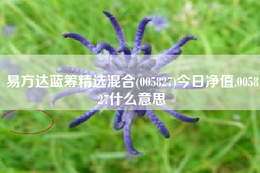 详细阅读:易方达蓝筹精选混合(005827)今日净值,005827什么意思 易方达蓝筹精选混合(005827)今日净值,005827什么意思