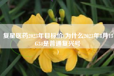 复星医药2023年目标价(为什么2023年8月13G34是普通复兴号
) 复星医药2023年目标价(为什么2023年8月13G34是普通复兴号
)