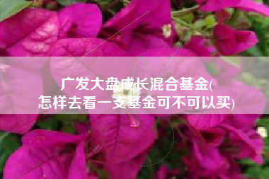 广发大盘成长混合基金(
怎样去看一支基金可不可以买) 广发大盘成长混合基金(
怎样去看一支基金可不可以买)