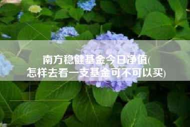 南方稳健基金今日净值(
怎样去看一支基金可不可以买)