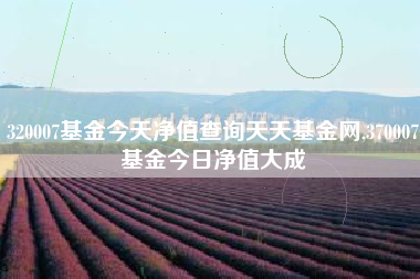 320007基金今天净值查询天天基金网,370007基金今日净值大成