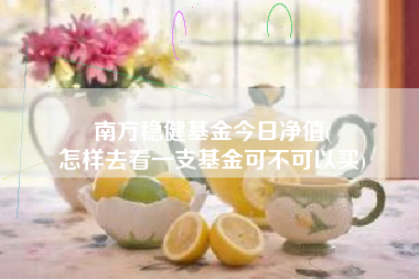 南方稳健基金今日净值(
怎样去看一支基金可不可以买)