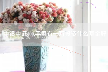 详细阅读:中银中证100,手里有一万投资什么基金好 中银中证100,手里有一万投资什么基金好