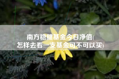 南方稳健基金今日净值(
怎样去看一支基金可不可以买)