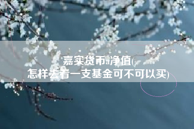 嘉实货币a净值(
怎样去看一支基金可不可以买)