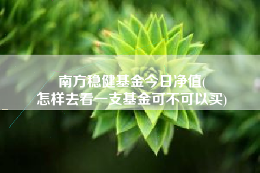 南方稳健基金今日净值(
怎样去看一支基金可不可以买)