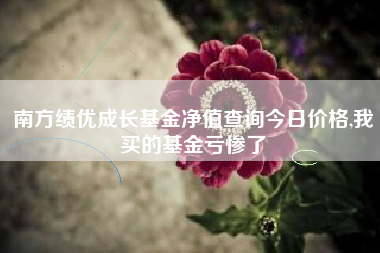 南方绩优成长基金净值查询今日价格,我买的基金亏惨了