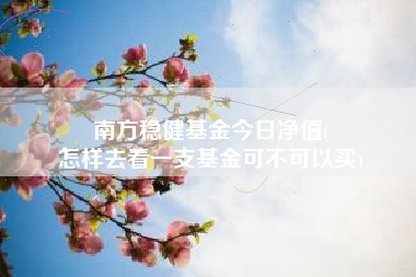 南方稳健基金今日净值(
怎样去看一支基金可不可以买)