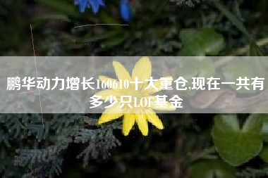 鹏华动力增长160610十大重仓,现在一共有多少只LOF基金