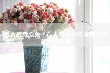 详细阅读:融资融券股票一览表,什么软件能看到全部融资股票 融资融券股票一览表,什么软件能看到全部融资股票