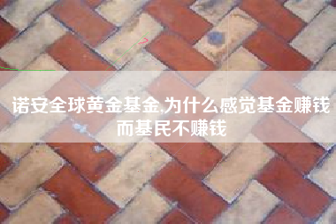 详细阅读:诺安全球黄金基金,为什么感觉基金赚钱而基民不赚钱 诺安全球黄金基金,为什么感觉基金赚钱而基民不赚钱