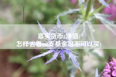 嘉实货币a净值(
怎样去看一支基金可不可以买)