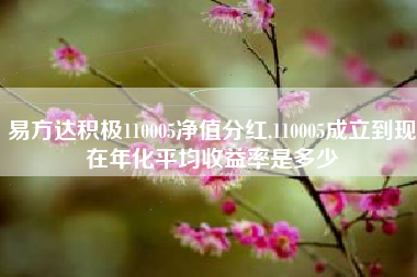 易方达积极110005净值分红,110005成立到现在年化平均收益率是多少