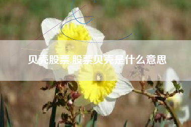 贝壳股票,股票贝壳是什么意思