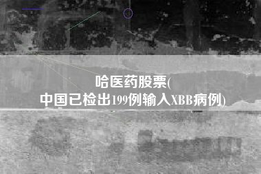 哈医药股票(
中国已检出199例输入XBB病例)