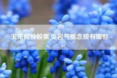 玉龙股份股票,页岩气概念股有哪些
