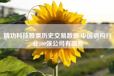 精功科技股票历史交易数据,中国钢构行业100强公司有哪些